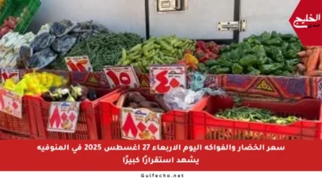سعر الخضار والفواكه اليوم الأربعاء 27 أغسطس 2025 في المنوفية يشهد استقرارًا كبيرًا